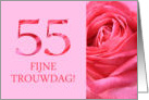 55th Anniversary Dutch Fijne Trouwdag - Pink rose close up card