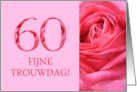 60th Anniversary Dutch Fijne Trouwdag - Pink rose close up card