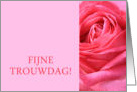 Anniversary Dutch Fijne Trouwdag - Pink rose close up card