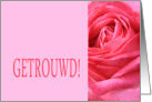 Getrouwd - Dutch wedding congratulations - Pink rose close up card