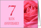 7th Anniversary Italian Buon Anniversario - Pink rose close up card