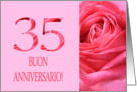 35th Anniversary Italian Buon Anniversario - Pink rose close up card