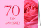 70th Anniversary Italian Buon Anniversario - Pink rose close up card