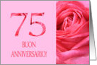 75th Anniversary Italian Buon Anniversario - Pink rose close up card