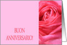 Anniversary Italian Buon Anniversario - Pink rose close up card