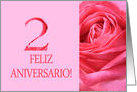 2nd Anniversary Spanish Feliz Aniversario Pink Rose Close Up card