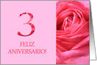 3rd Anniversary Spanish Feliz Aniversario Pink Rose Close Up card