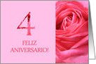 4th Anniversary Spanish Feliz Aniversario Pink Rose Close Up card