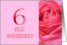 6th Anniversary Spanish Feliz Aniversario Pink Rose Close Up card