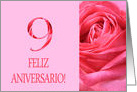 9th Anniversary Spanish Feliz Aniversario Pink Rose Close Up card