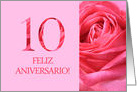 10th Anniversary Spanish Feliz Aniversario Pink Rose Close Up card