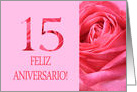 15th Anniversary Spanish Feliz Aniversario Pink Rose Close Up card