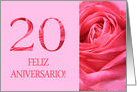 20th Anniversary Spanish Feliz Aniversario Pink Rose Close Up card