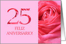 25th Anniversary Spanish Feliz Aniversario Pink Rose Close Up card