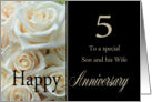 5th Anniversary, Son & Wife - Pale pink roses card