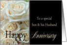 Anniversary, Son & Husband - Pale pink roses card