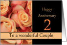 2nd Anniversary to couple - multicolored pink roses card