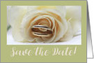 Save the Date White Rose and Wedding Bands card