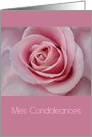 French Sympathy Big Pink Rose card