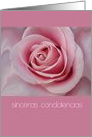 Spanish Sympathy Big Pink Rose card