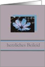 German Sympathy Blue Cosmos Flower on Grey card