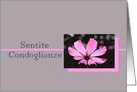 Italian Sympathy Pink Cosmos Flower on Grey card
