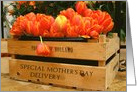 Mother’s Day Special Orange Tulips Delivery card