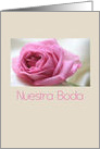 Nuestra Boda Spanish Wedding Invitation Pink Rose card