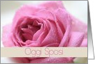 Oggi Sposi Italian Wedding Invitation Pink Rose card