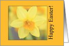 Easter Yellow Daffodil card