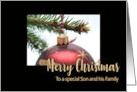 Son & Family Classic Red Christmas Bauble on Twig card