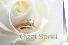 Italian Wedding Invitation - Oggi Sposi - Bridal set in white rose card