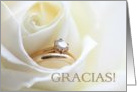 Spanish Wedding Thank You Card - Bridal set in white rose card