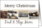 Dad & Step Mom - Merry Christmas card Sepia Winter collage card