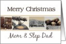 Mom & Step Dad - Merry Christmas card Sepia Winter collage card