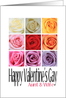 Aunt & Wife - Happy Valentine’s Gay, Rainbow Roses card