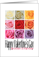 brother and Partner - Happy Valentine’s Gay, Rainbow Roses card