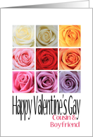 Cousin and boyfriend - Happy Valentine’s Gay, Rainbow Roses card