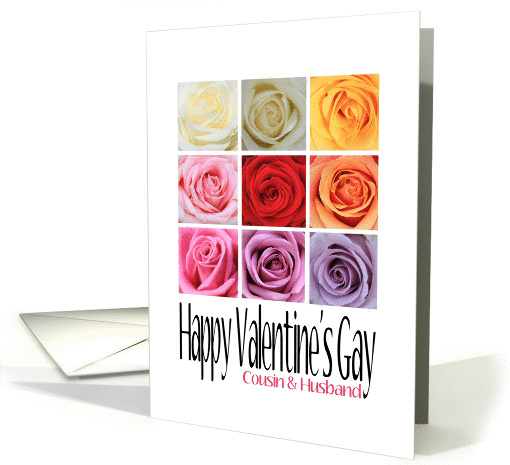 Cousin and Husband - Happy Valentine's Gay, Rainbow Roses card