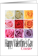 Cousin - Happy Valentine’s Gay, Rainbow Roses card