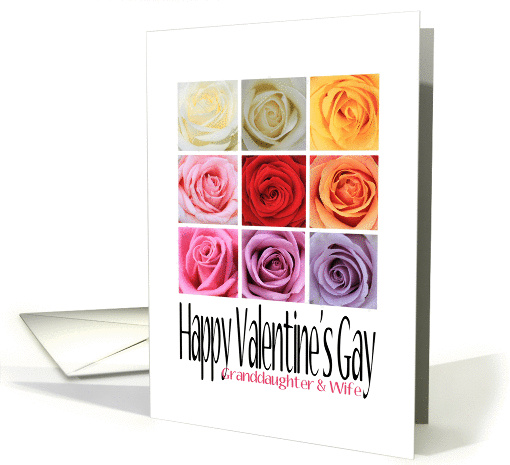 Granddaughter and Wife - Happy Valentine's Gay, Rainbow Roses card