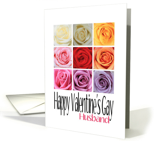 Husband - Happy Valentine's Gay, Rainbow Roses card (1015119)