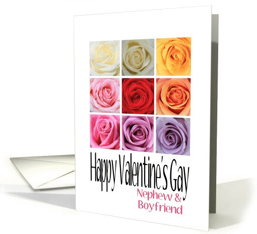 Nephew and Boyfriend - Happy Valentine's Gay, Rainbow Roses card