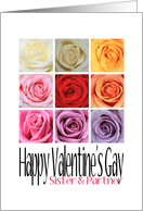 Sister and Partner - Happy Valentine’s Gay, Rainbow Roses card