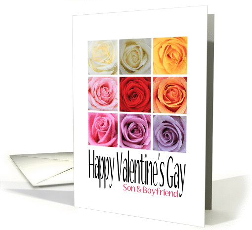 Son and Boyfriend - Happy Valentine's Gay, Rainbow Roses card