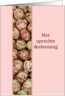 Dutch Sympathy Pink Roses card