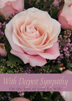 Sympathy Loss of Ex-Wife - Pink Rose