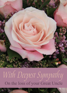 Sympathy Loss of Great Uncle - Pink Rose