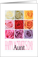 Aunt - Happy Mother’s Day, Rainbow Roses card