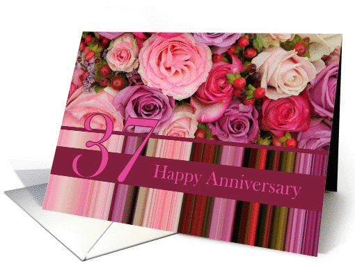 37th Wedding Anniversary Card - Pastel roses and stripes card
